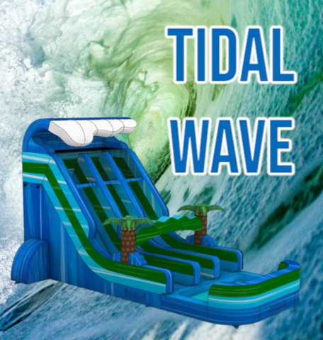 Tidal Wave Dual Lane Slide