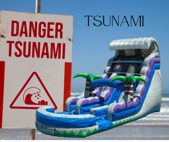 Tsunami Dual Lane Waterslide *Wet Only*