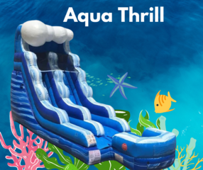 Aqua Thrill *Wet or Dry Slide*