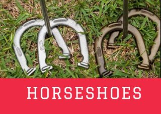 Horseshoes Yard Game