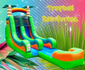 Tropical Rainforest *Wet or Dry Slide*