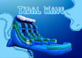 Tidal Wavel Dual Lane Slide Wet Slide Only