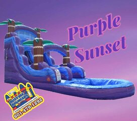 Purple Sunset *Wet Slide Only*