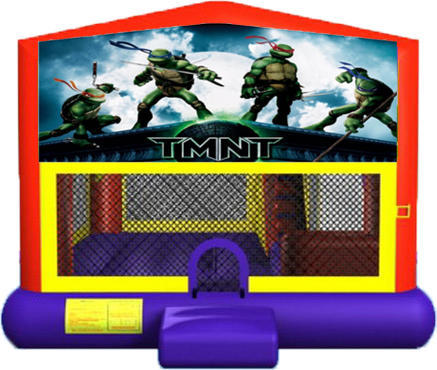 Teenage Mutant Ninja Turtles Wet 4-in-1 Combo