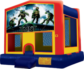 Teenage Mutant Ninja Turtles Bouncer - 15x15