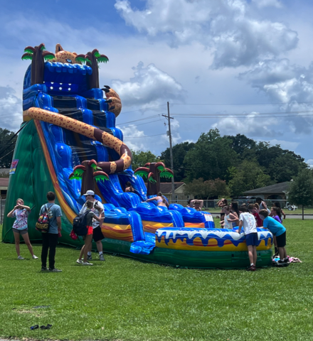             25 ft Jaguar Mountain (pool)