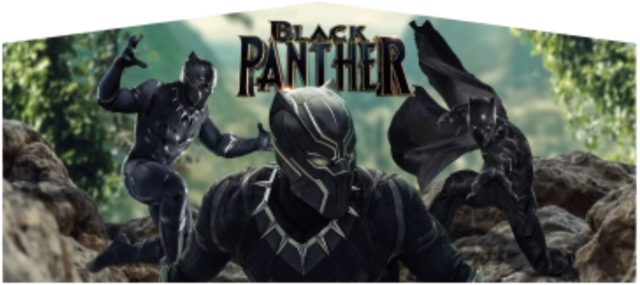 Black Panther panel