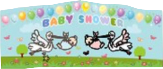 Baby Shower Panel 