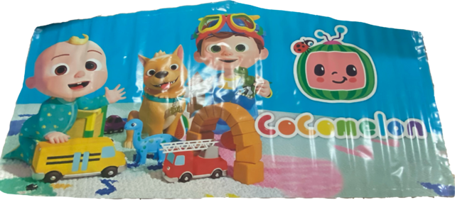 Cocomelon Panel 