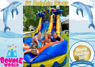   14 ft Dolphin Diver waterslide (pool)