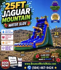              25 ft Jaguar Mountain (pool)