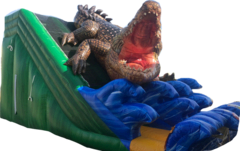 20' Alligator Slide (dry only, dual lanes)