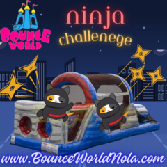 Ninja Run (30' Obstacle Course)