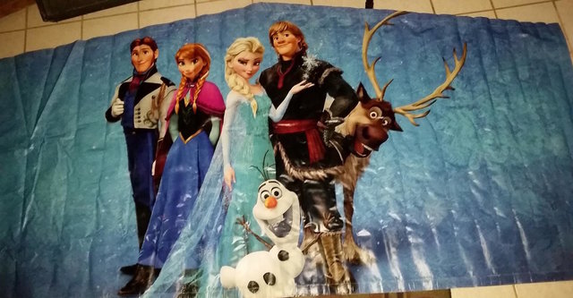 10' Banner - Frozen 1