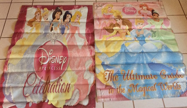 2 Banner - Disney Princesses