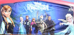 10' Banner - Frozen 2