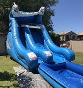 18FT Dolphin Water Slide