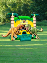 Dinosaur Bouncer 3D, Use Coupon Code: Cash Get 5% Off & We Will Remove Credit Card Fee. (Deposit On Card Still Required No Fee)