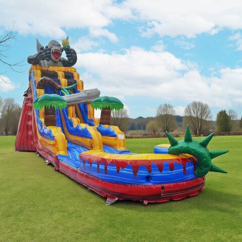 24ft Kong