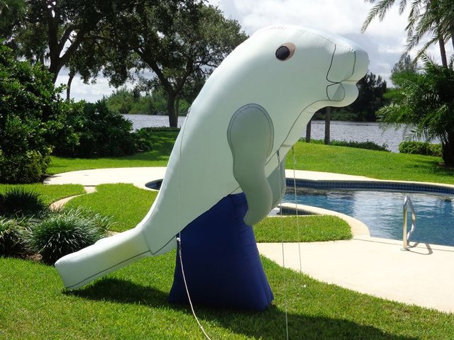 Manatee Air Dancer <br> $40 Delivery fee if rented by itself