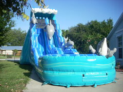 21 ft Dolphin Splash