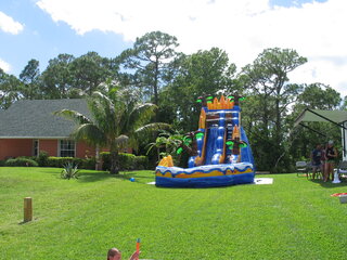 21ft Palm Tree Lagoon