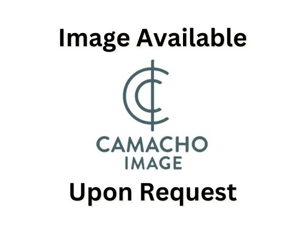 Dancing in the Clouds