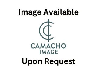 Dancing in the Clouds