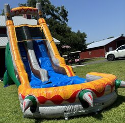 18ft  Dino Dive 