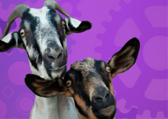 Mobile Petting Zoo Rentals Nc Party Animals