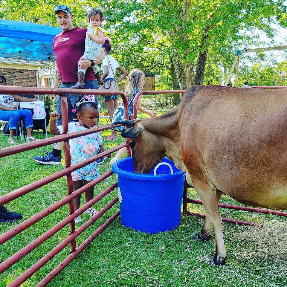 Rent A Petting Zoo Barnyard Party Farm Birthday Party