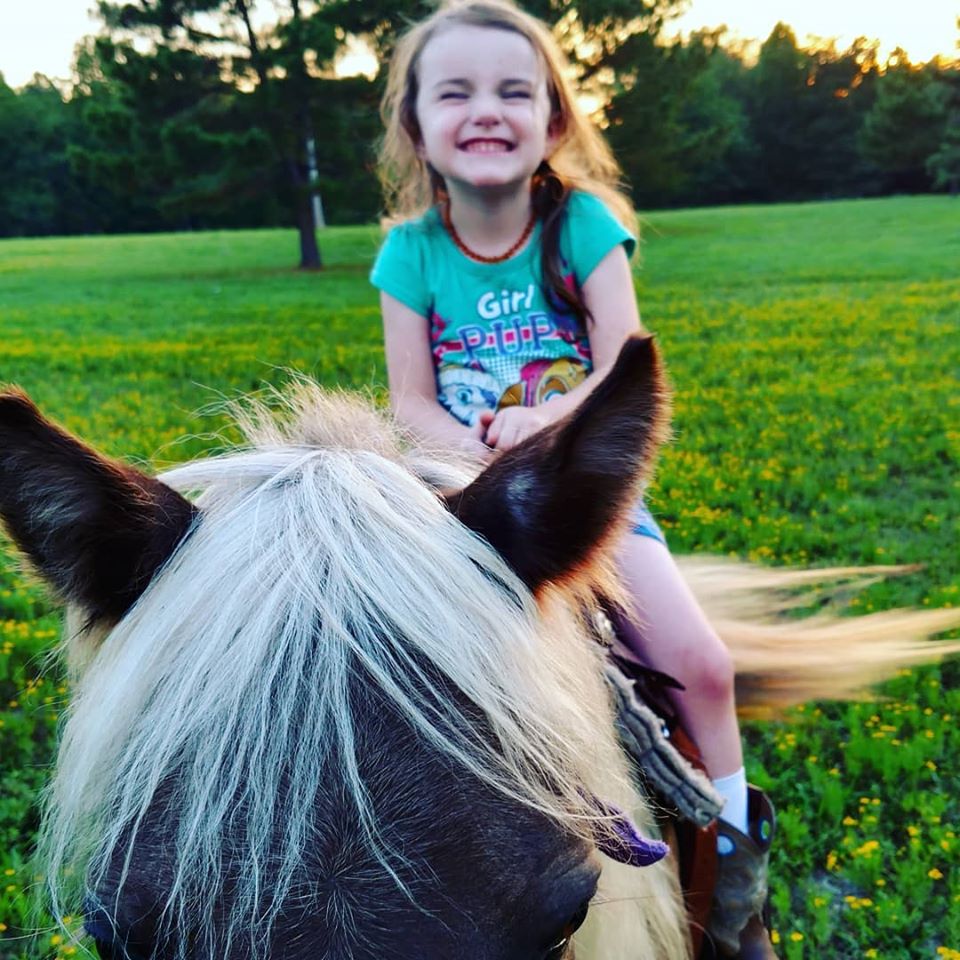 Pony Rentals Aberdeen NC Pony Rentals Aberdeen NC