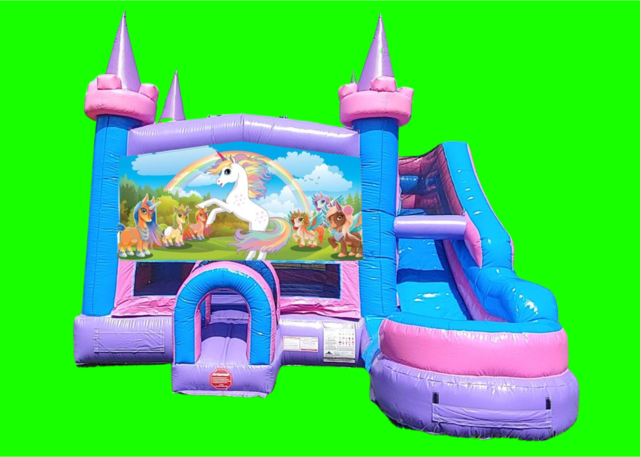 Unicorn bounce house with slide rentals in Raeford