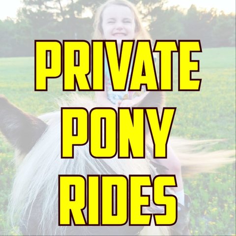 Pony Rides Near Me | Petting Zoo Visit | Private Farm Tour