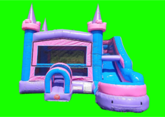 Funtastic Bounce and Slide DRY