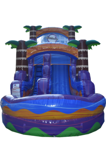 Carolina Bounce - bounce house rentals and slides for parties in Seneca