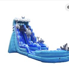 20' Dolphin Slide