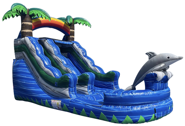 Dolphin Slide Wet/Dry