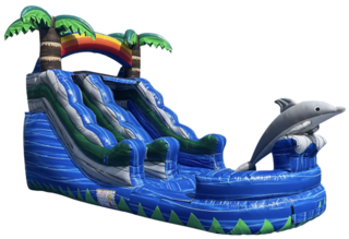 Dolphin Slide Wet/Dry