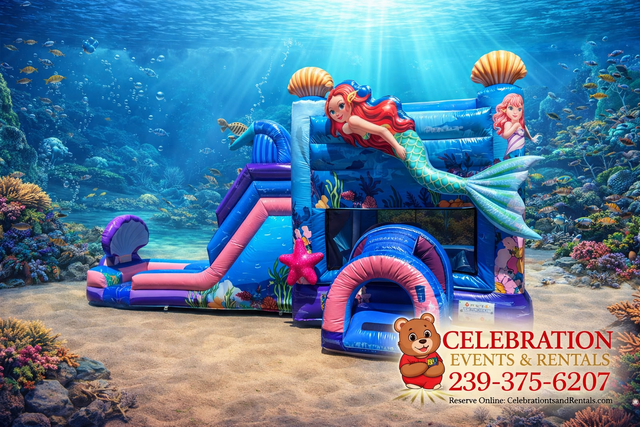 309-MERMAID COMBO WET/DRY