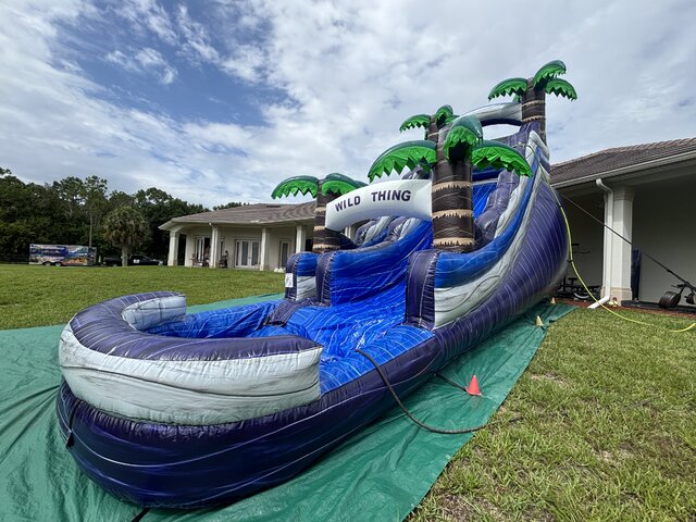 401-22FT PURPLE TROPICAL WATER SLIDE 