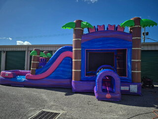  PINK PARADISE PRINCESS WET/DRY