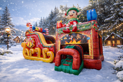 ELF SLEIGH COMBO DRY