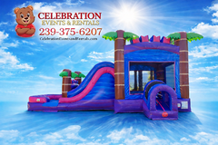  PINK PARADISE PRINCESS WET/DRY