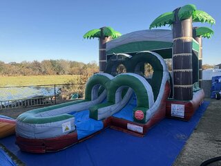 PALM PARADISE COMBO WET/DRY