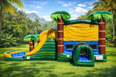 CALI PALMS DUAL LANE BOUNCE HOUSE WET/DRY