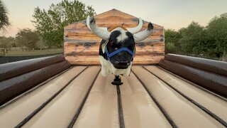 MECHANICAL BULL 