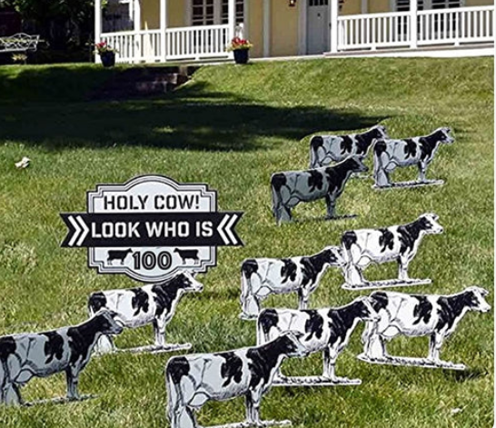 Holy Cow Look who is Package