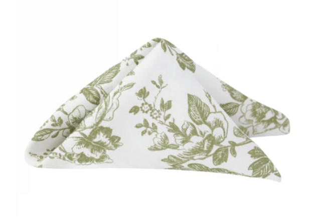 French Toile 20