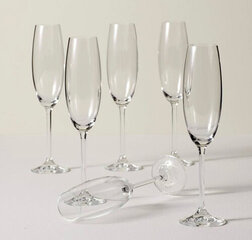 Champagne Flute 8oz. 